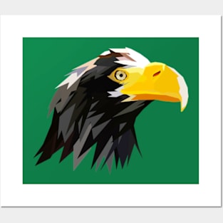 Steller Sea Eagle Edit Posters and Art